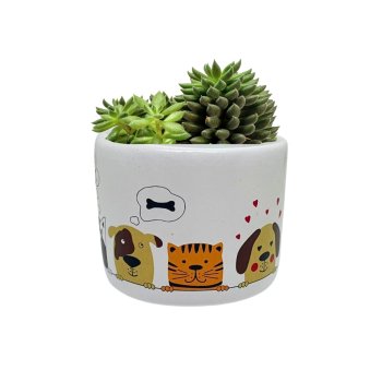 Cachepot Redondo Pets Suculentas